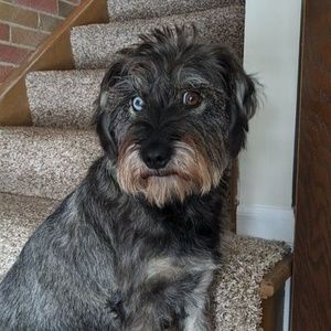 Meet your Posher, Pam